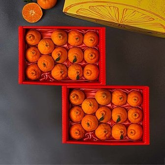 자연맛남 [보자기포장]제주 한라봉 2.6kg x 2박스(28과내외) 과일 선물세트