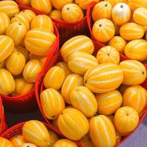 농장직송 성주 꿀 참외 가정용 랜덤과 10kg