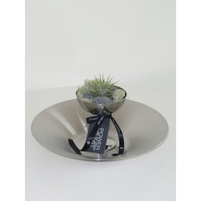 틸란드시아 이오난사 (Tillandsia ionantha) 스테인레스 고블렛