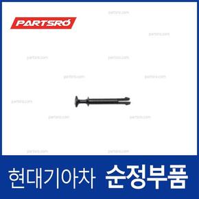 핀-글로브 박스 힌지 (845153A000) 벨로스터, 쏘나타YF, 아반떼XD, 아반떼HD, 엑센트, 제네시스, I30/I30CW, 그랜드 스타렉스, 맥스크루즈, 싼타페, 투싼, 투싼IX, 트라제XG, 쏘나타YF 하이브리드, 아반떼 하이브리드, 투싼 수소차, 포터2, 그랜드