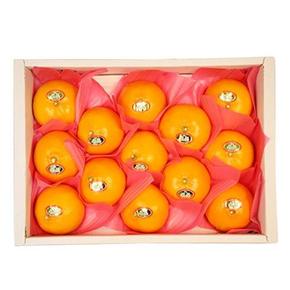 제주 천혜향 선물세트 3kg(14-17과) / 실중량