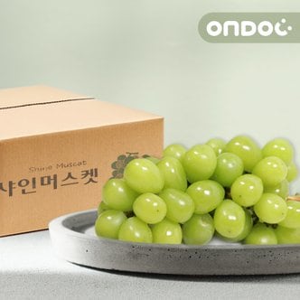 온도씨 샤인머스켓 선물세트 2kg 5수(실속형)