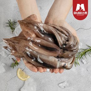 녹진한 손질 통찜용 오징어 자연산 1.5kg(12-21미)