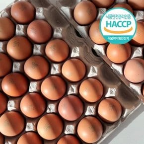 HACCP 저온숙성 국내산 구운계란(대란) 60구