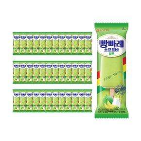 빵빠레 소프트바 멜론 75ml x36개