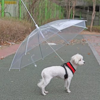  강아지산책 애견산책우산 반려견 비오는날 산책 우비 개우산