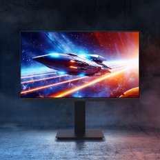 리오나인 X25F-360 25인치 360Hz 게이밍 모니터 블랙 FreeSync Premium HDR 멀티스탠드