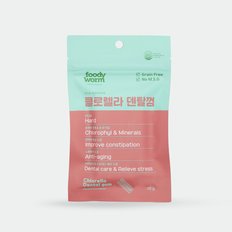 클로렐라덴탈껌 70g