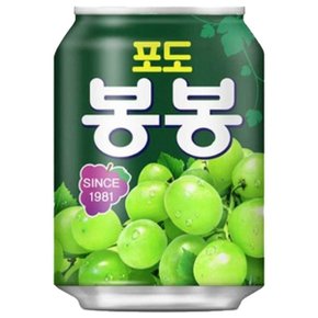 해태음료 포도봉봉 238ml x 24캔입