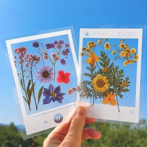DIY 책갈피 만들기 압화꽃 인스타 스타일 프레임 북마크 제작 투명 북클립 재료 책 굿즈