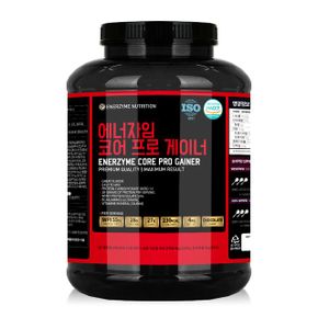 헬스빌 에너자임 코어프로 WPI 게이너 4kg