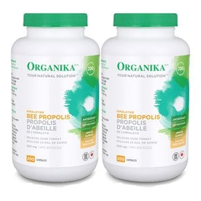 캐나다 오가니카 비 프로폴리스 500mg 200캡슐 2개 Organika BEE PROPOLIS