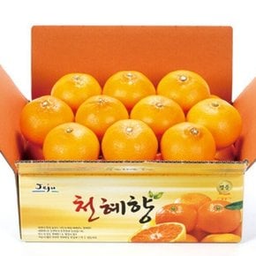 [G]제주직송 고당도 천혜향 4.5kg 특대과