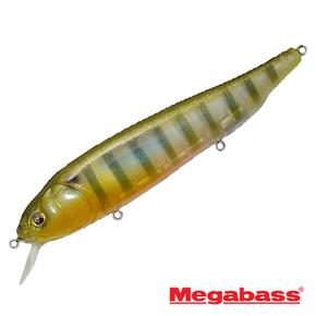 메가배스 라테스 120/ GLX STRIPED SHINER