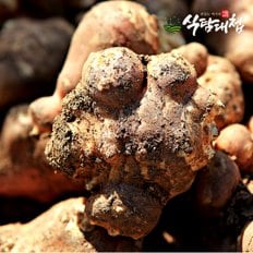 식탐대첩 국내산 돼지감자 4kg 크기랜덤