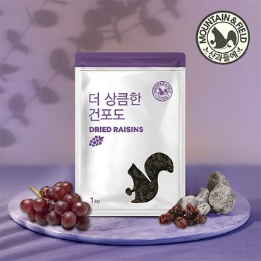 산과들에 건과일 건포도 1kg