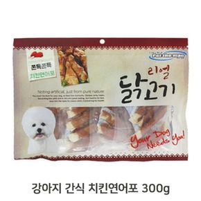 애견 영양 치킨연어포 300g 1P 강아지 고단백 간식