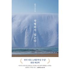 교보문고 작별하지 않는다