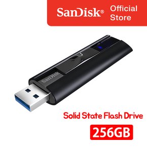 정품 USB3.1 Extreme PRO/256GB/최대420MB/s_CZ880