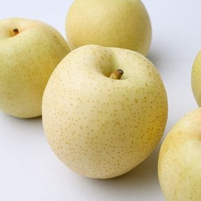 황금배 중대과 3kg 6~8입 산지직송 제철과일