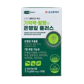 은행잎 추출물 기억력 혈행엔 징코 플러스 30정x1개 부모님 어르신 효도 건강 선물