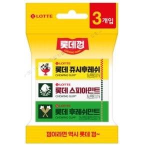 롯데 껌 3번들 78g