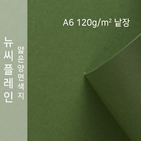 종이문화 뉴씨플레인 얇은 양면색상지 120g A6 No.62 솔잎색 낱장 1매 색지