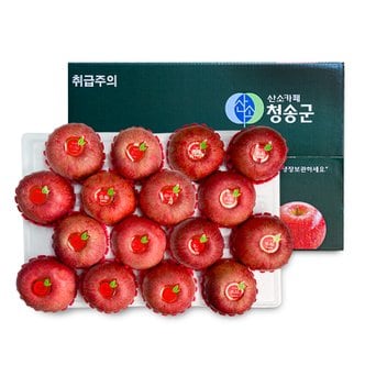 장수상회 [오늘신선] 경북 청송 선물 프리미엄 과일선물 사과세트 5kg(16-17과내)