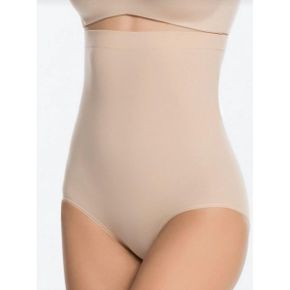 5495507 Spanx Higher Power Panties In Soft Nude