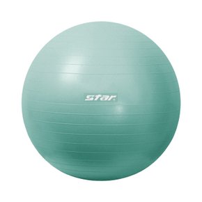 짐볼 안티버스트(EBF016) 55cm 민트