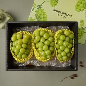 [전국택배]유명산지 고당도 샤인머스켓 선물세트 2.2kg (3송이)