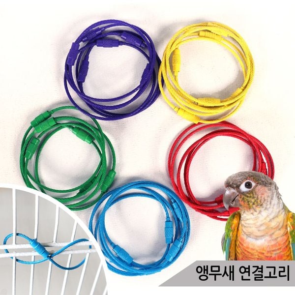 확대된 대표 이미지1