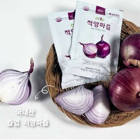국내산 즙업 자색 적양파즙 100ml 60개 빨간양파