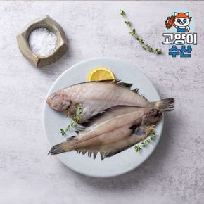 [고양이수산] 반건조 손질 물가자미 5미 550g[34634938]