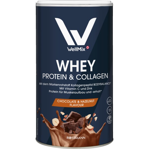 웰믹스 WellMix 프로틴 파우더 콜라겐 초콜릿 헤이즐넛 맛 350g