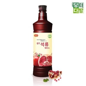 광야 생기석류 베이스 970ml (W71125C)