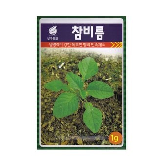  참비름씨앗 1g 비름나물씨앗