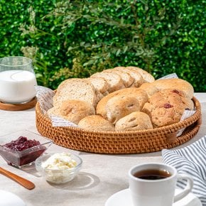 비건 통밀빵 새싹 발아 통밀 식빵 베이글 모닝빵 팥빵