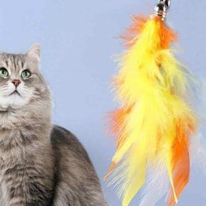 고양이 솜사탕깃털카샤카샤 고양이사냥놀이 냥이장난감 고양이놀이 고양이낚시대리필