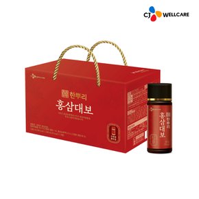 한뿌리 홍삼대보 100ml 10병