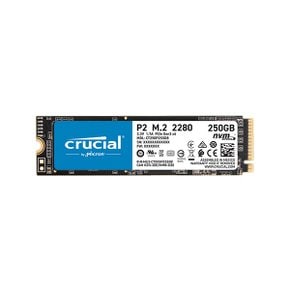 Crucial P2 M.2 NVME 250GB SSD_아스크텍