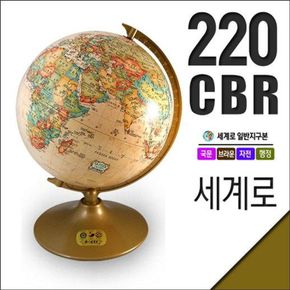 지구본 220-CBR(지름:22cm/브라운)[26510524]