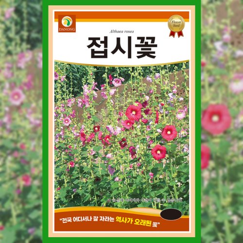메인이미지