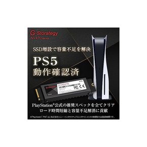 G-Storategy SSD 2TB M.2 히트싱크 츠케 신형 PS5 동작 확인