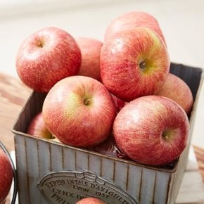 산지직송 고랭지 경북 영주 풍기 금계사과 2kg 9-10과 중소과
