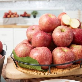산지직송 고랭지 경북 영주 풍기 금계사과 2kg 9-10과 중소과
