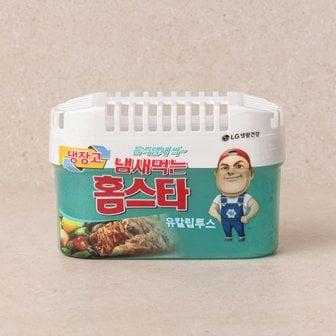 엘지생활건강 냄새먹는 홈스타 냉장고용 유칼립투스 420G