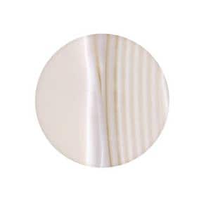 까리떼 프로페셔널 헤어 에센스 듀오(+랜덤 50mlX2+볼륨 브러쉬 증정)