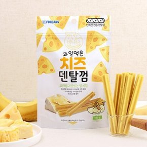 과일먹은 치즈덴탈껌 100g 바나나/애견간식/껌