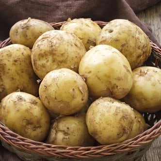 감자 남도 햇 수미감자 3kg(대_90~130g내외)